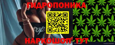 гашиш Гатчина